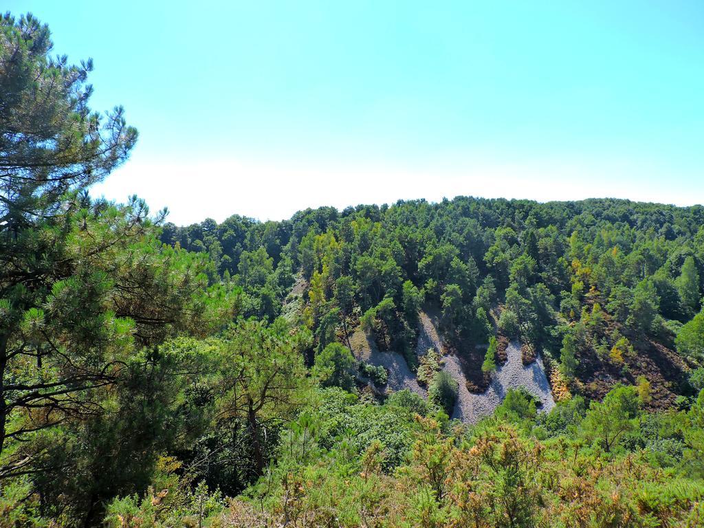 Gite Le Bourgneuf Fresnay-sur-Sarthe 외부 사진