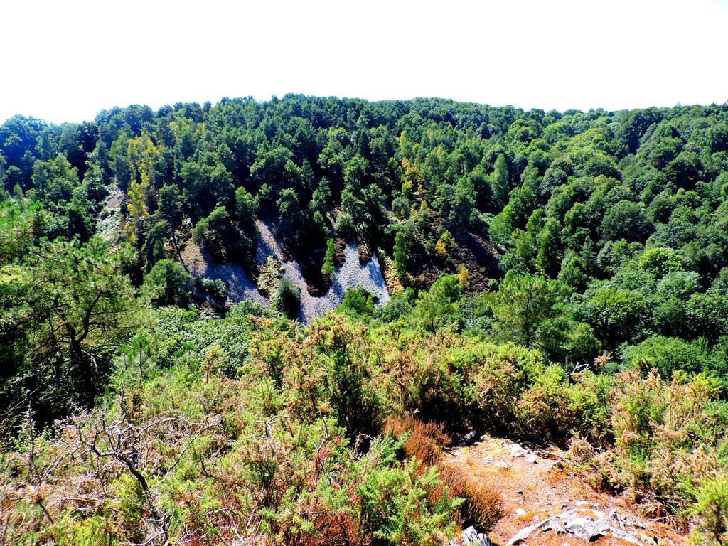 Gite Le Bourgneuf Fresnay-sur-Sarthe 외부 사진